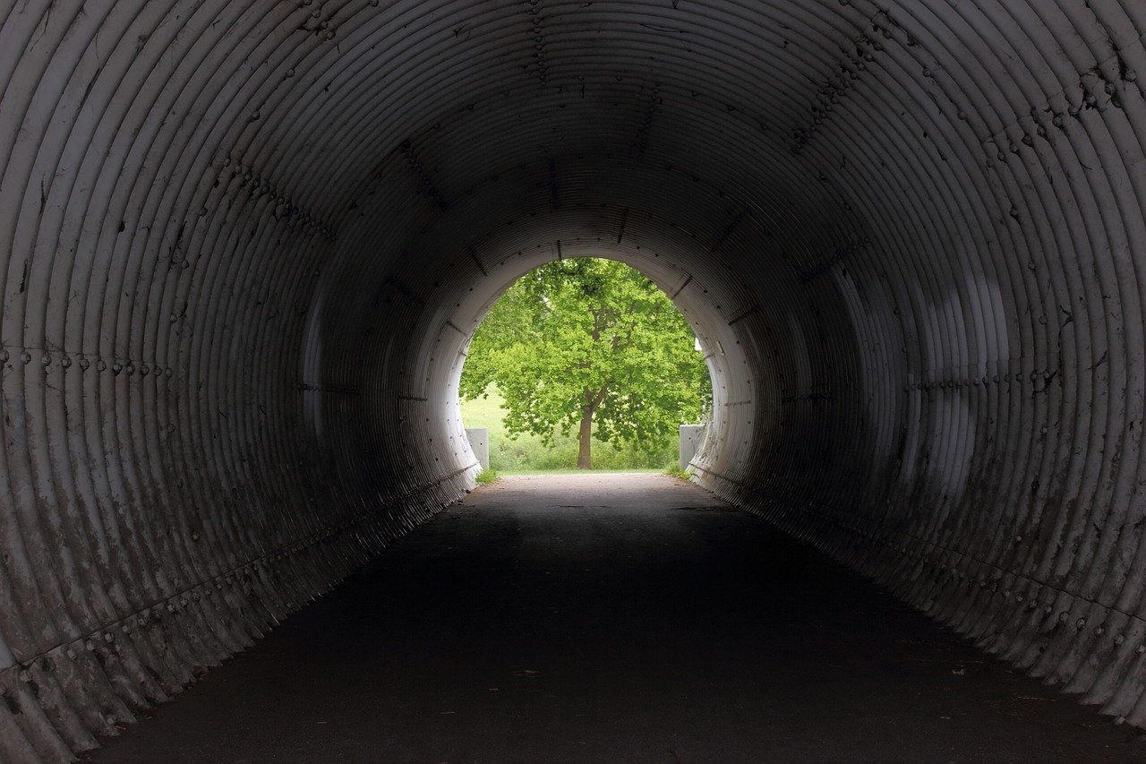 tunnel  tree  light free photo