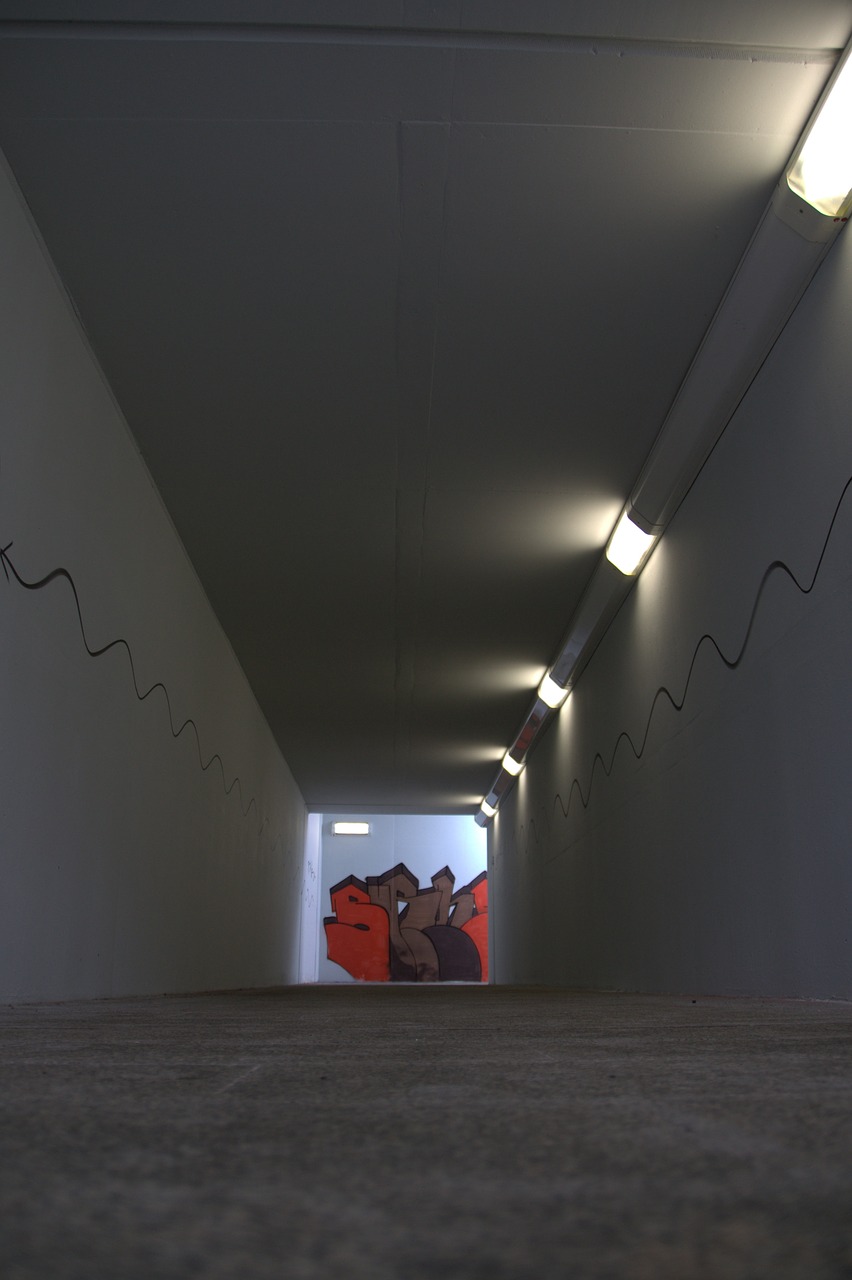 tunnel  underpass  railway station free photo