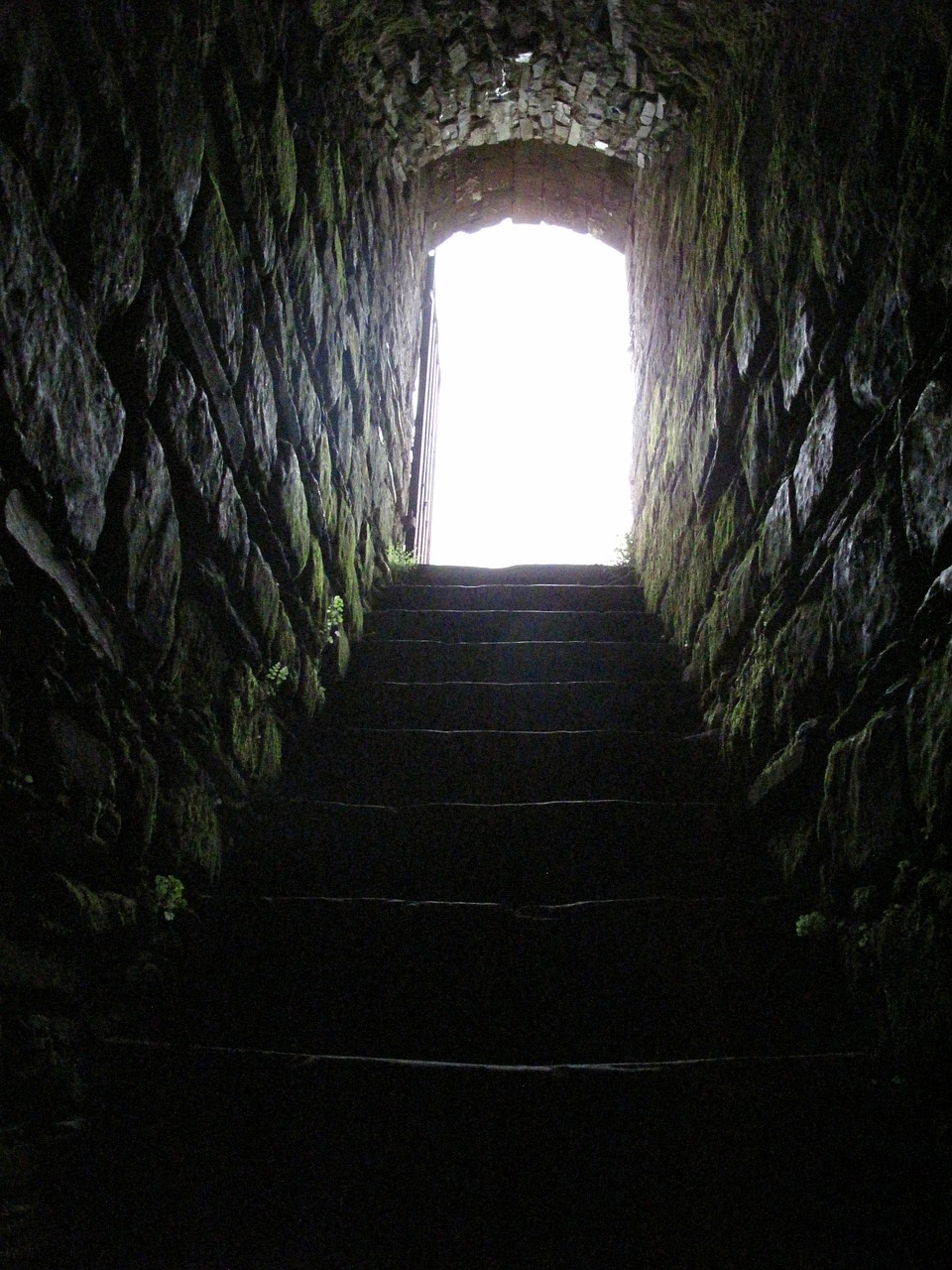 tunnel ladder light free photo