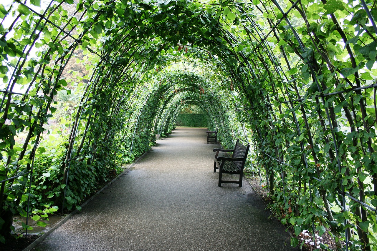 tunnel of plants garden tunnel green free photo
