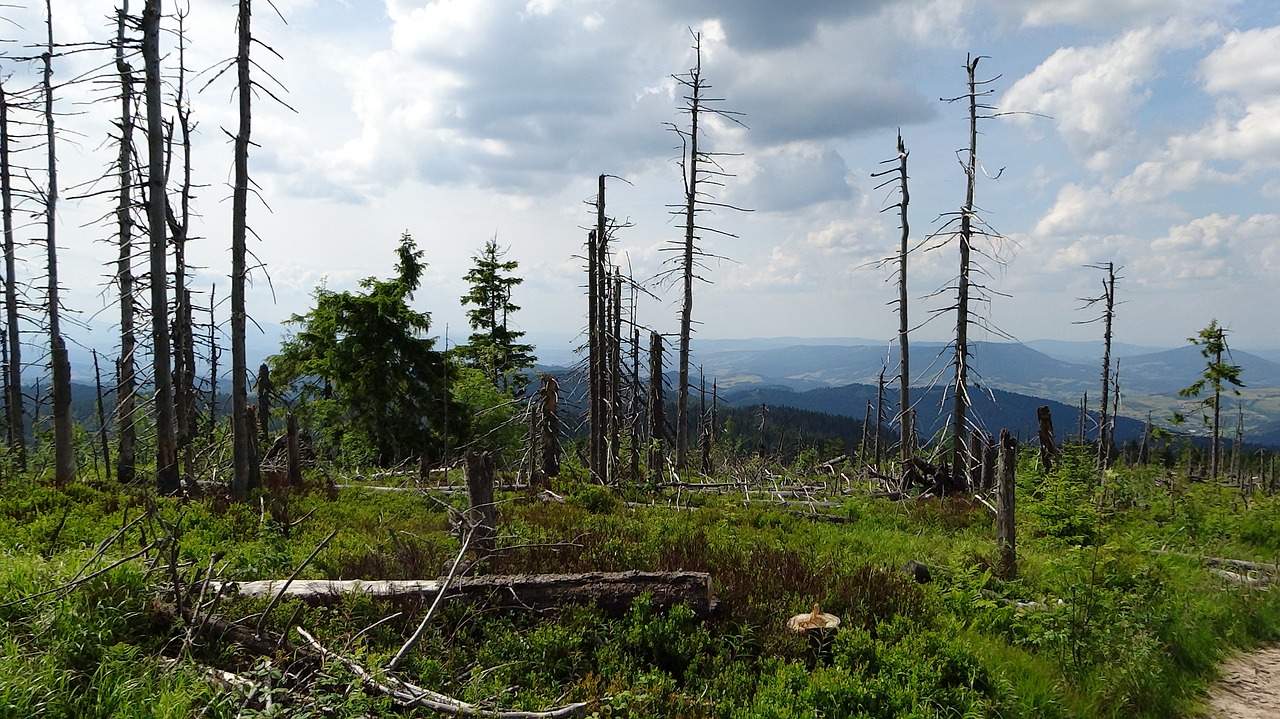 turbacz poland mountains free photo