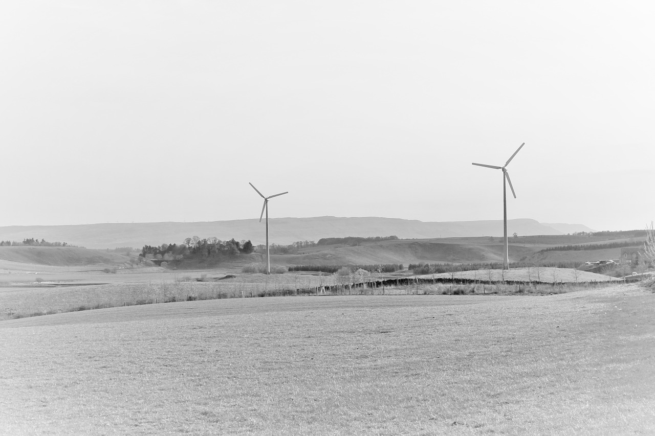 turbine farm wind free photo