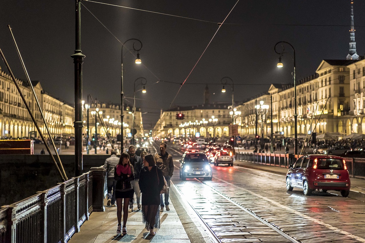 turin bridge po free photo