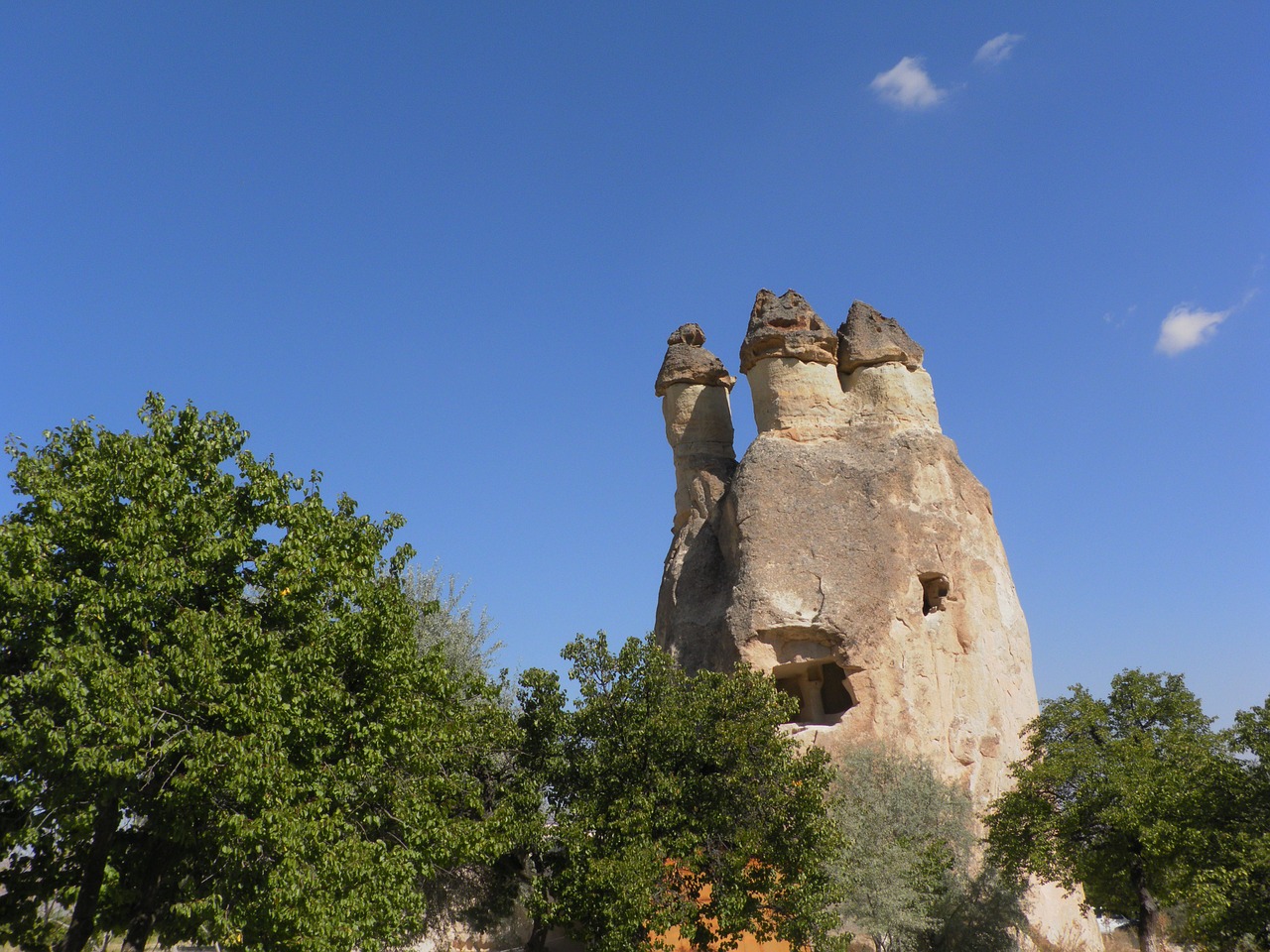 turkey cappadocia mushrooms free photo