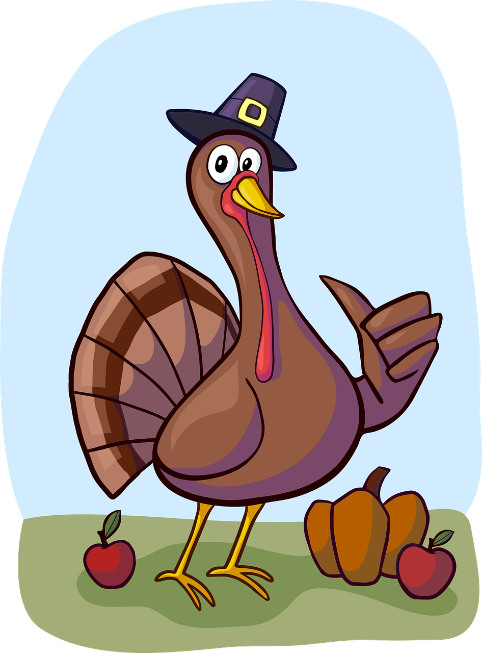 turkey bird thanksgiving free photo