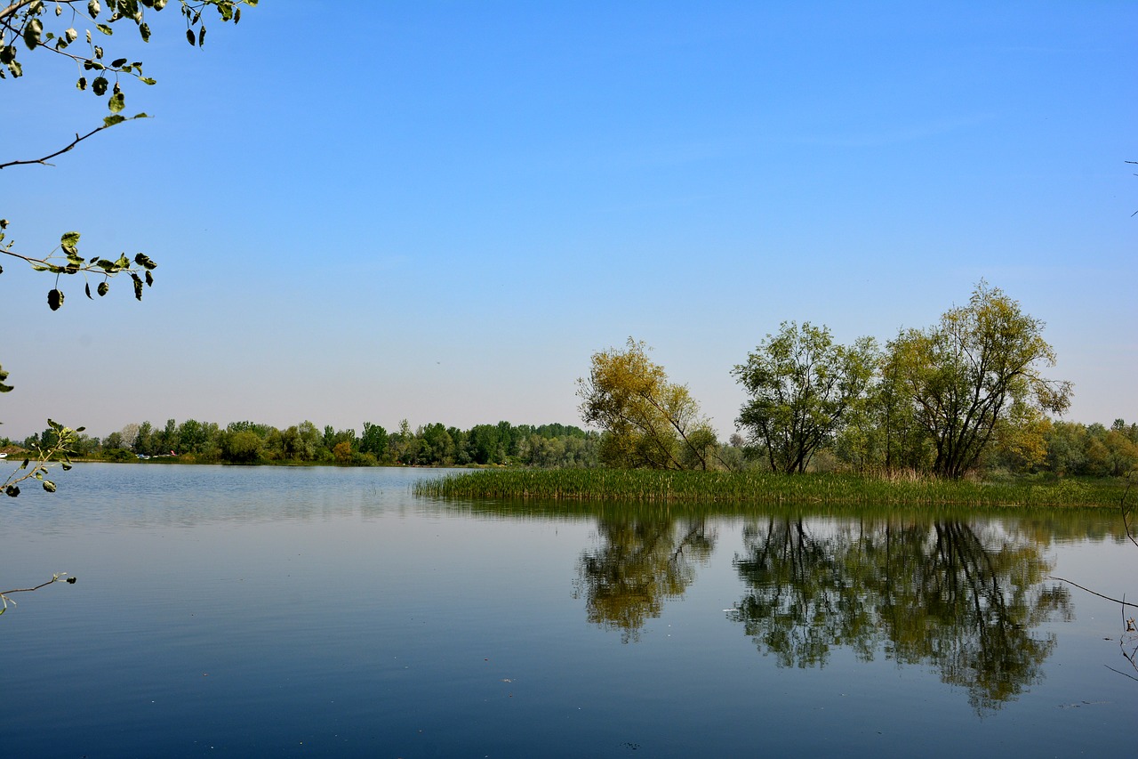 turkey nature sakarya free photo