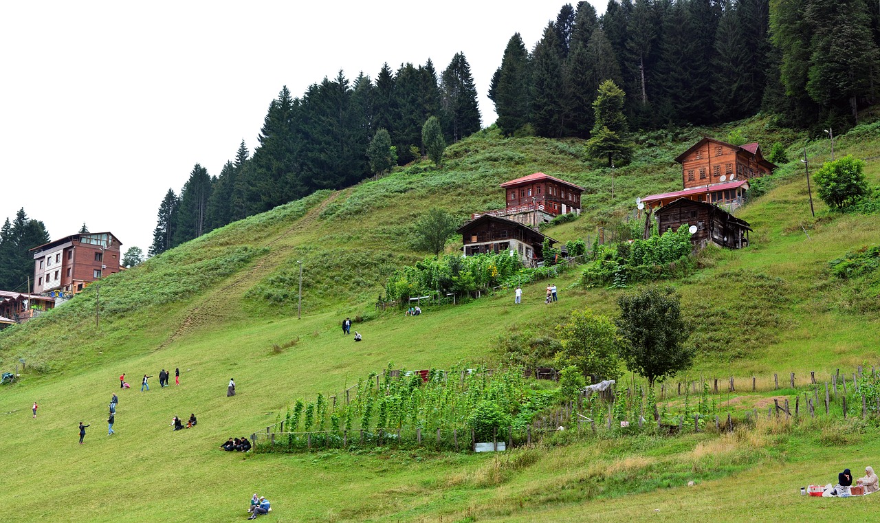 turkey eastern black sea rize free photo