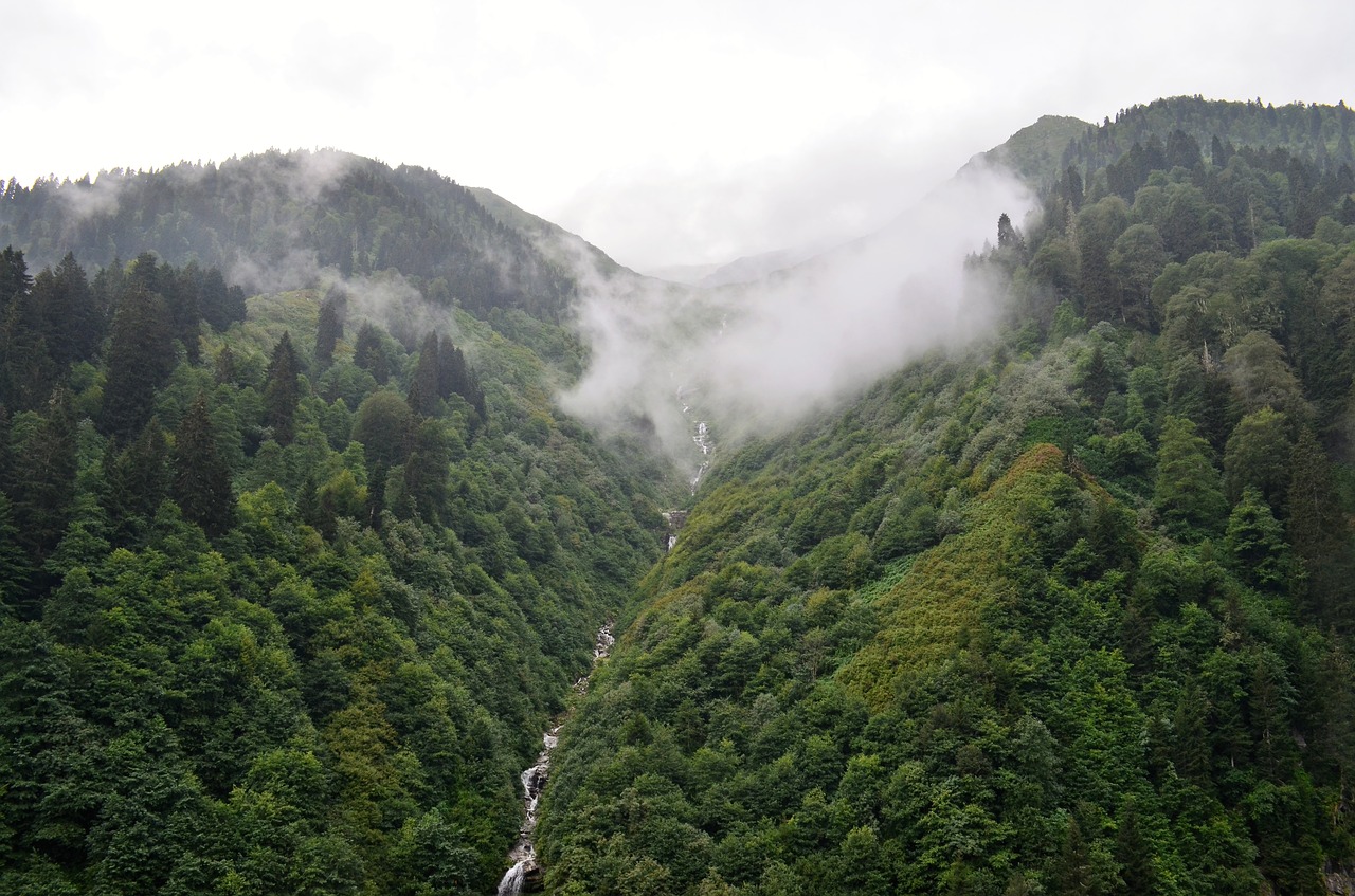 turkey eastern black sea rize free photo