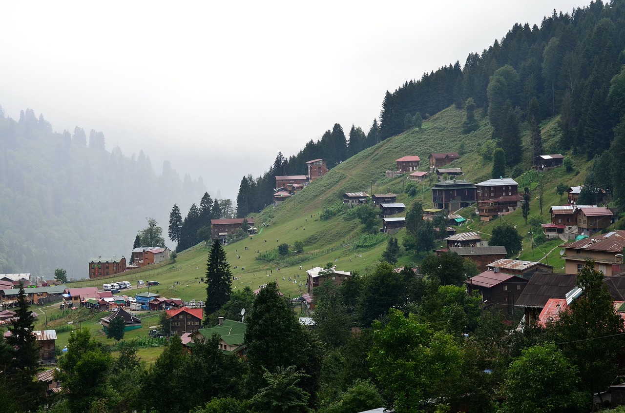 turkey eastern black sea rize free photo