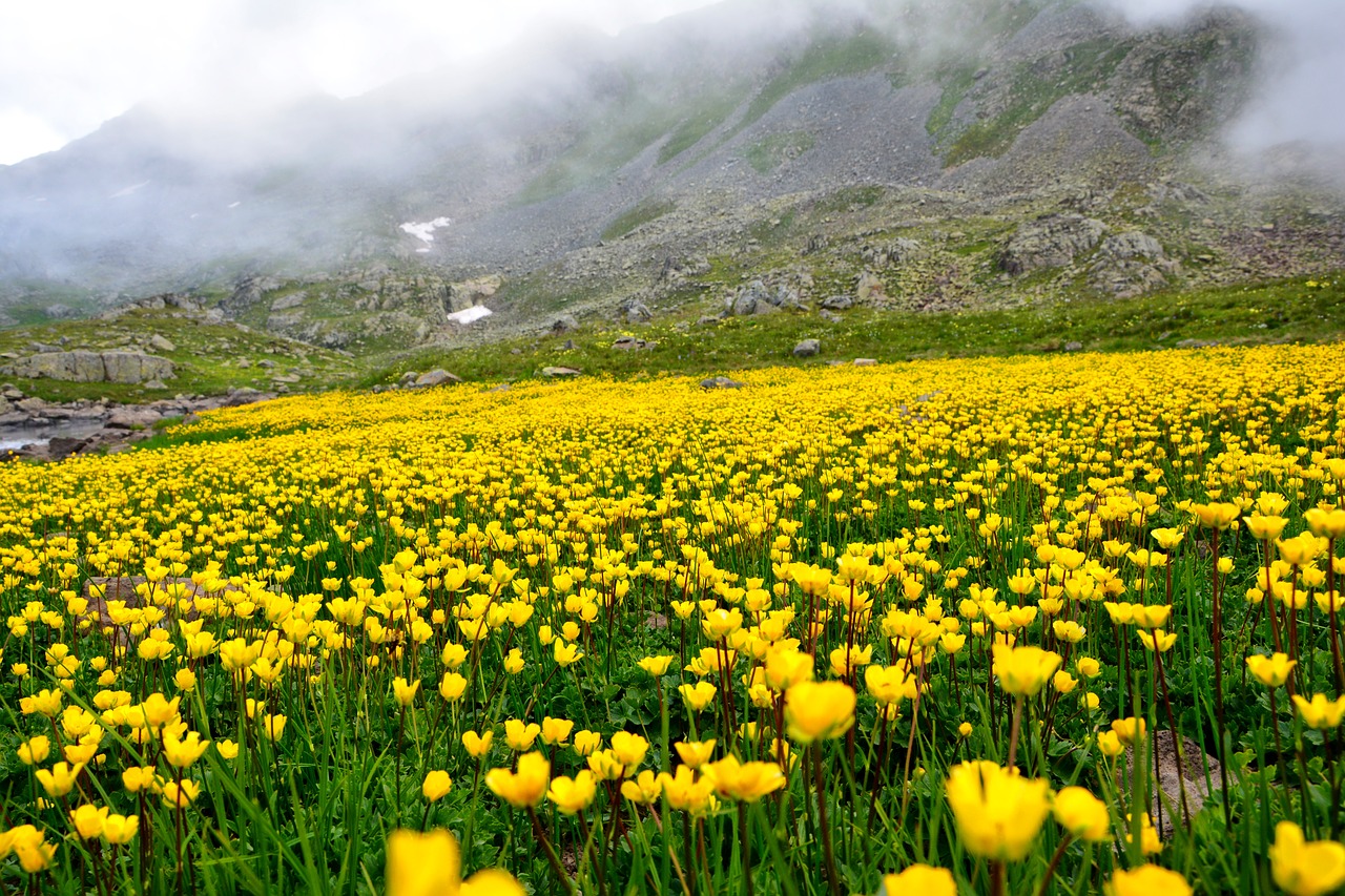 turkey nature landscape free photo