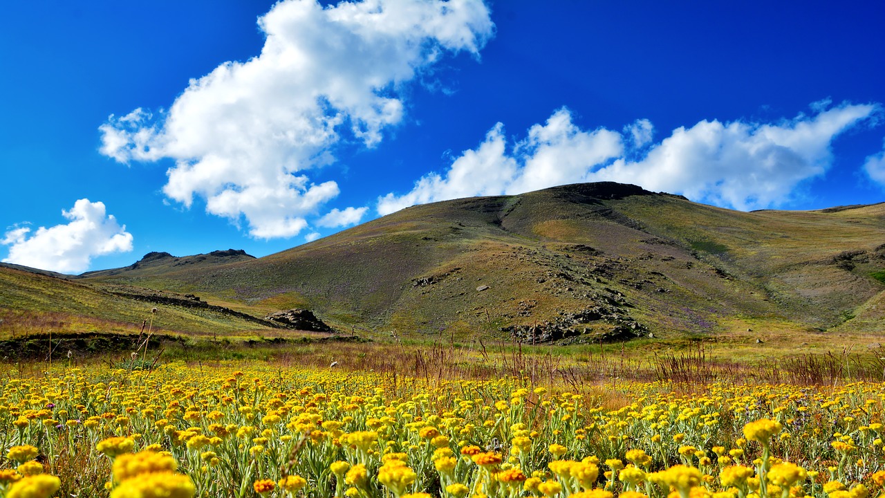 turkey nature landscape free photo