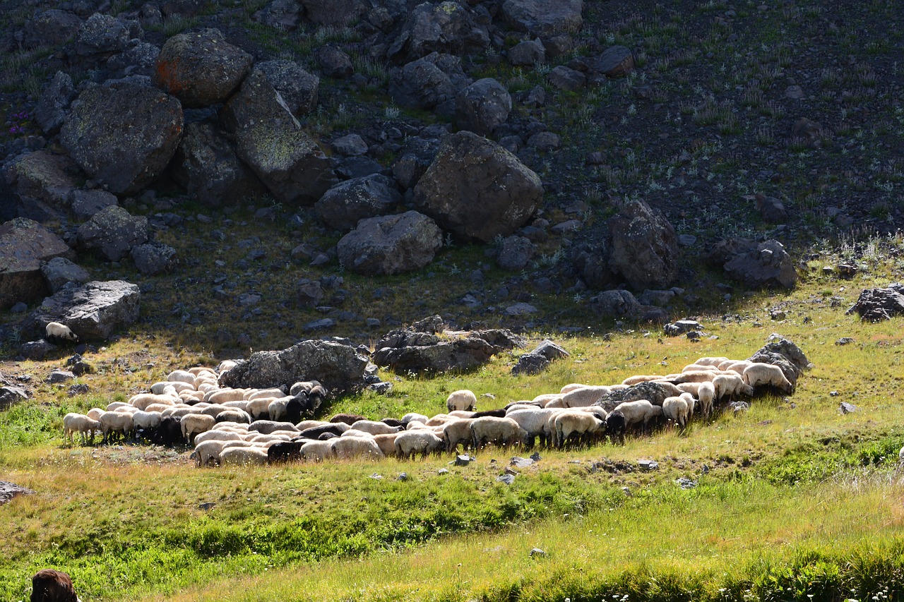 turkey nature landscape free photo