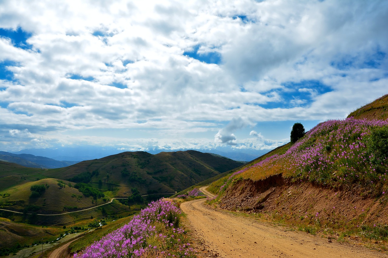 turkey nature landscape free photo