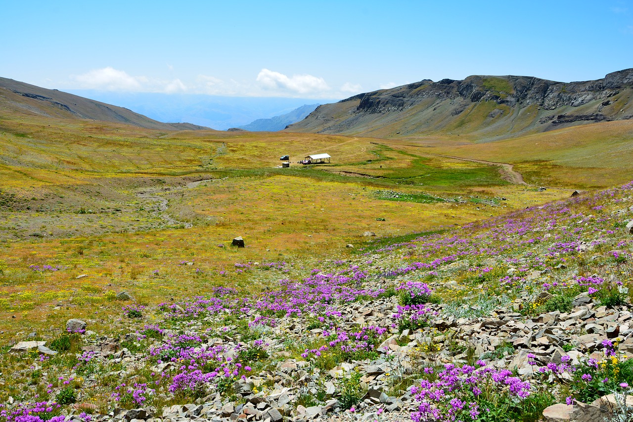 turkey nature landscape free photo