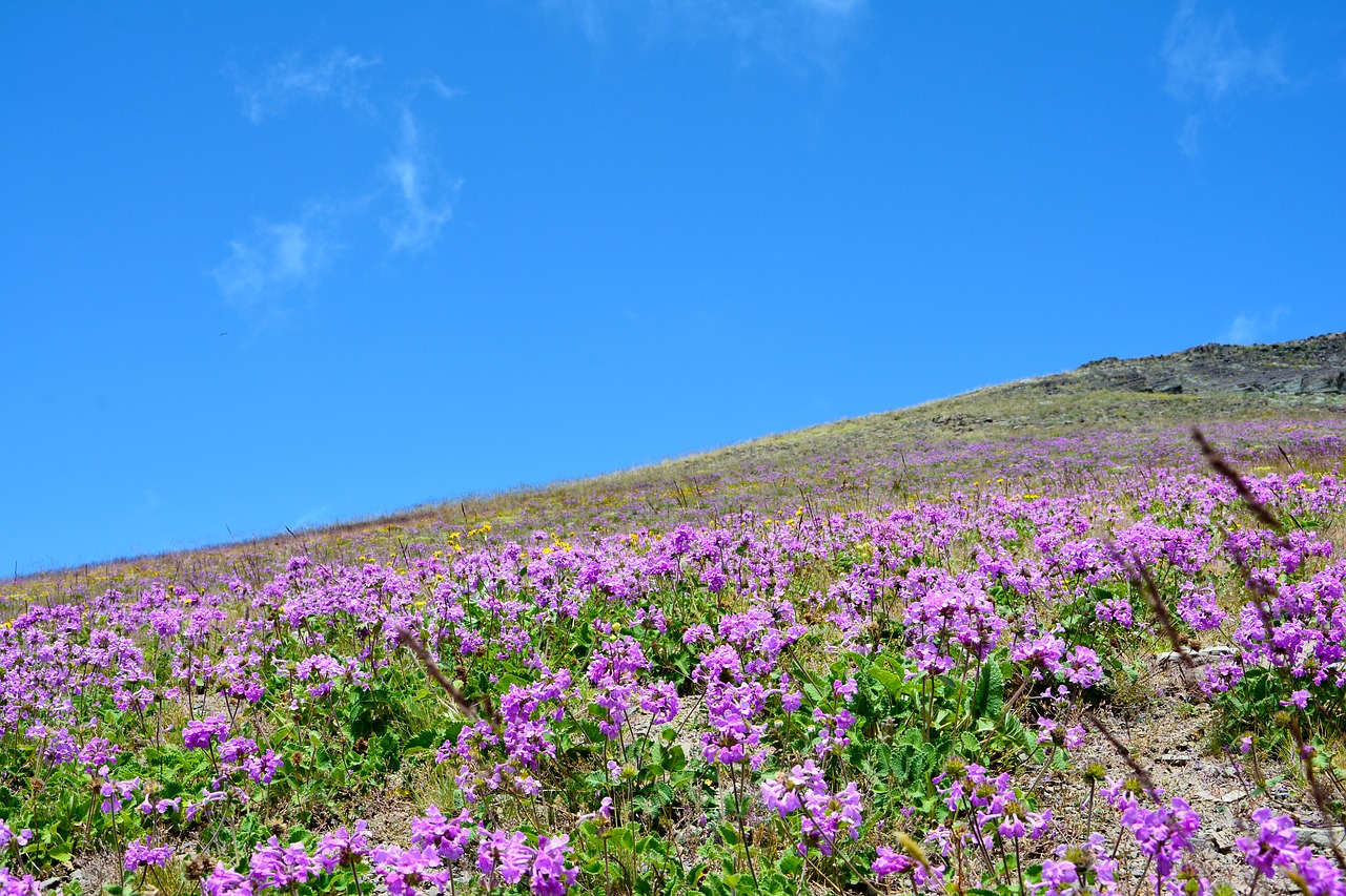 turkey nature landscape free photo