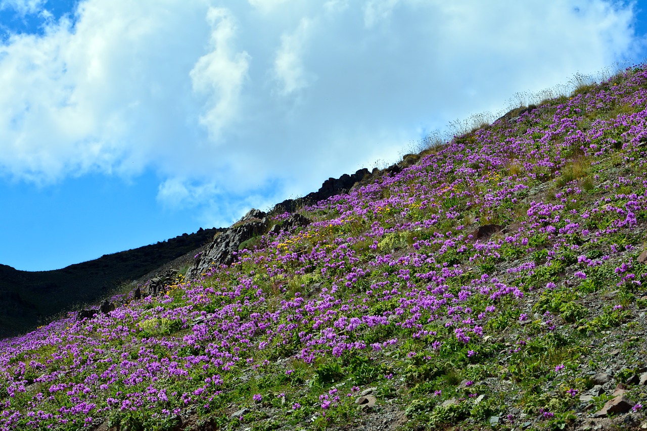 turkey nature landscape free photo