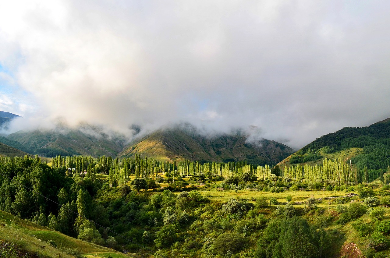 turkey nature landscape free photo