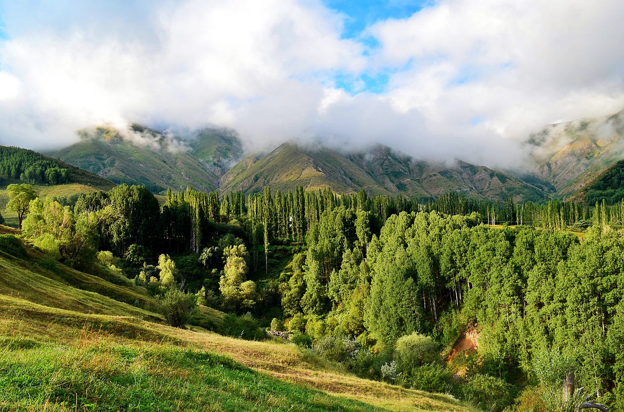 turkey nature landscape free photo