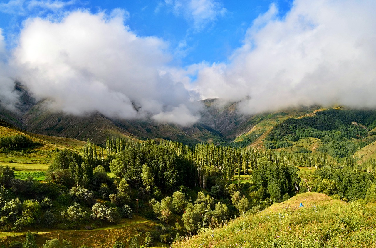 turkey nature landscape free photo