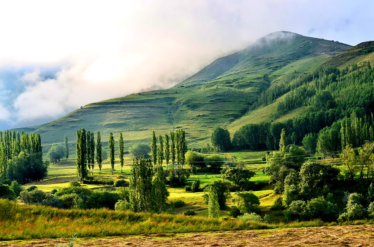 turkey nature landscape free photo