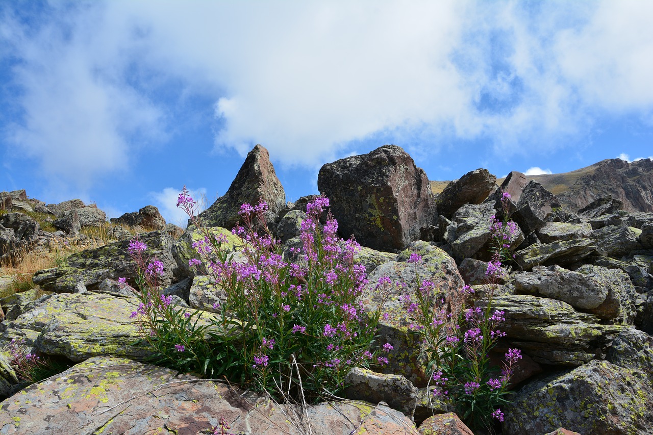 turkey nature landscape free photo