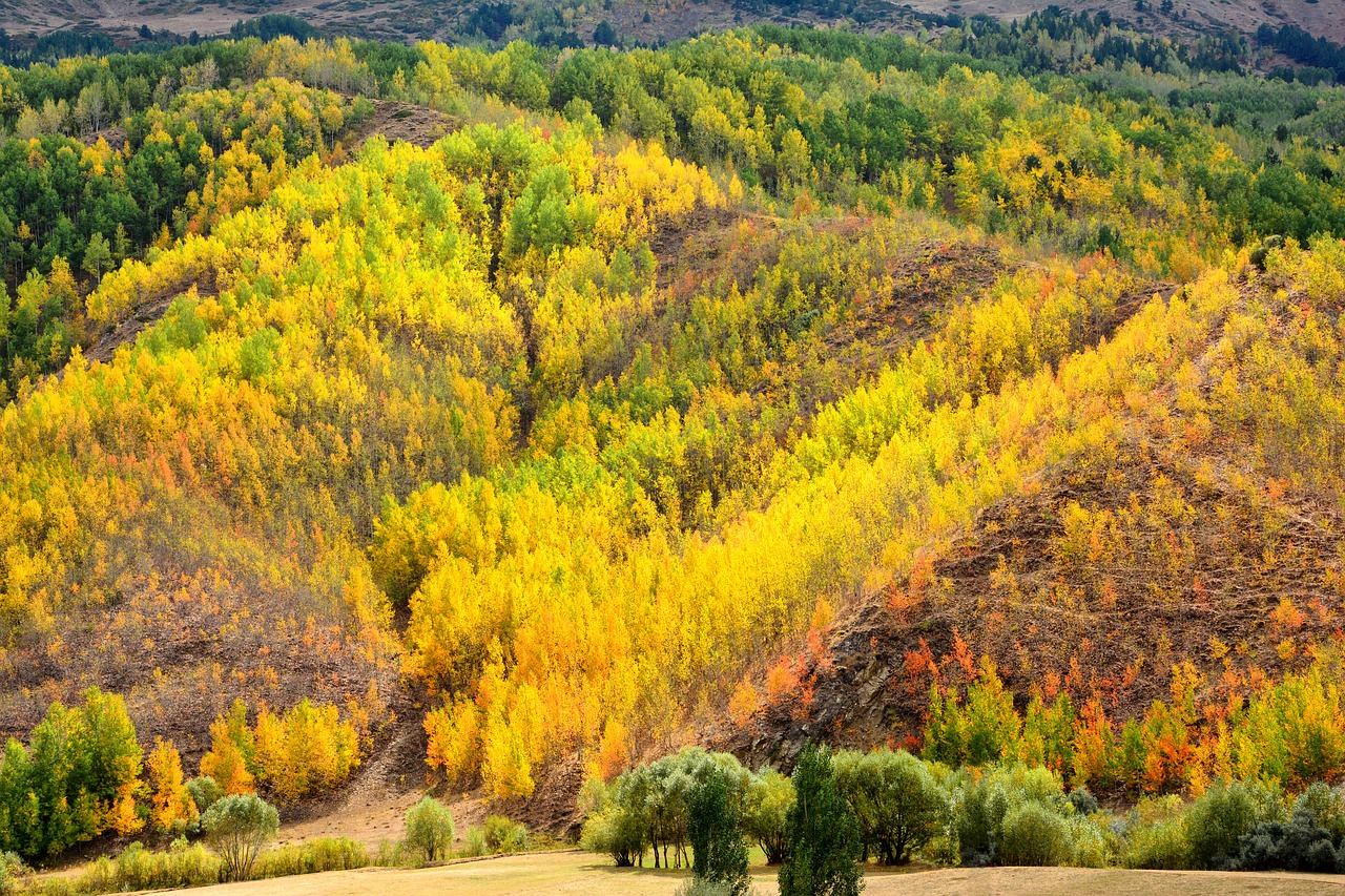 turkey nature landscape free photo