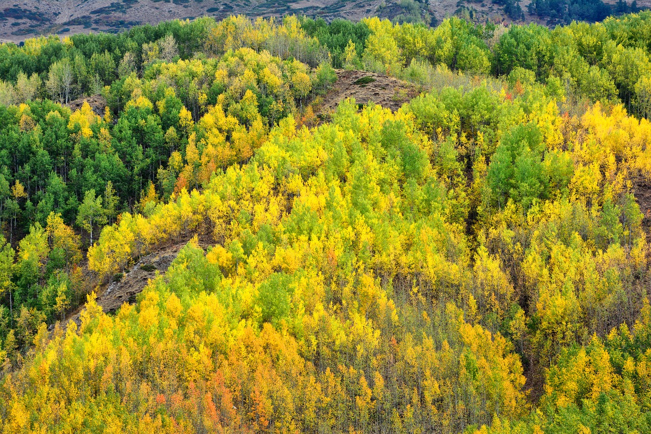 turkey nature landscape free photo