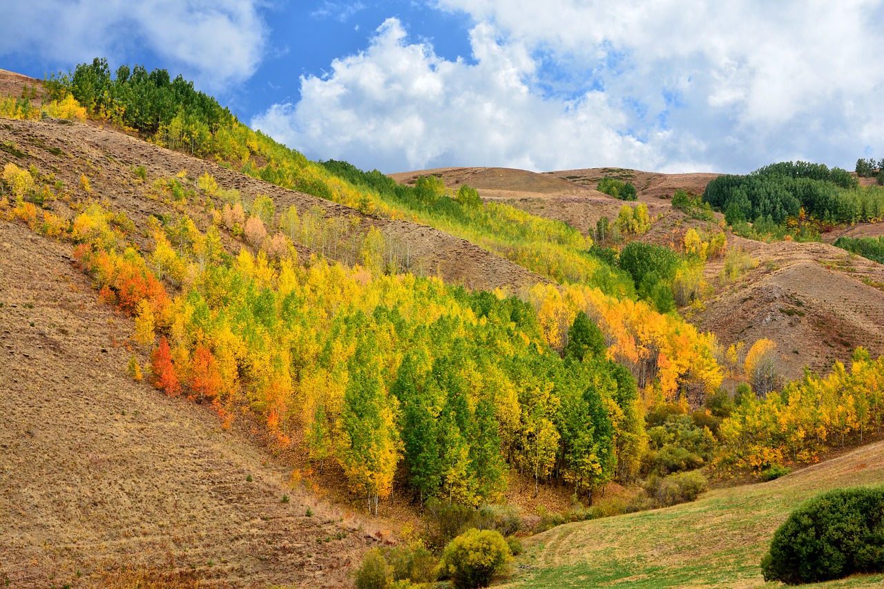 turkey nature landscape free photo