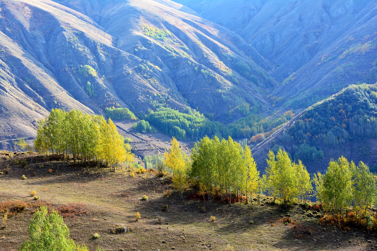 turkey nature landscape free photo