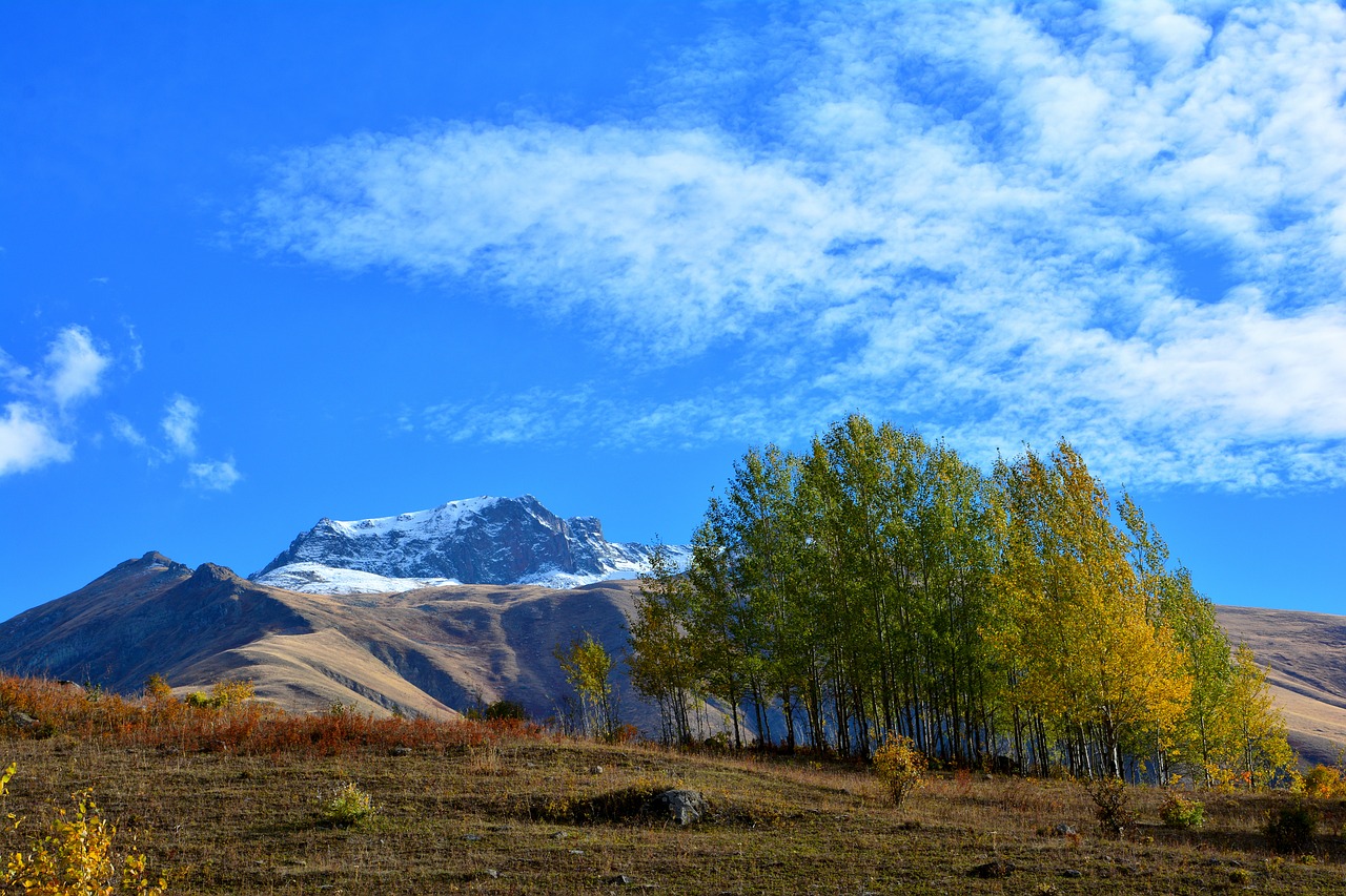 turkey nature landscape free photo