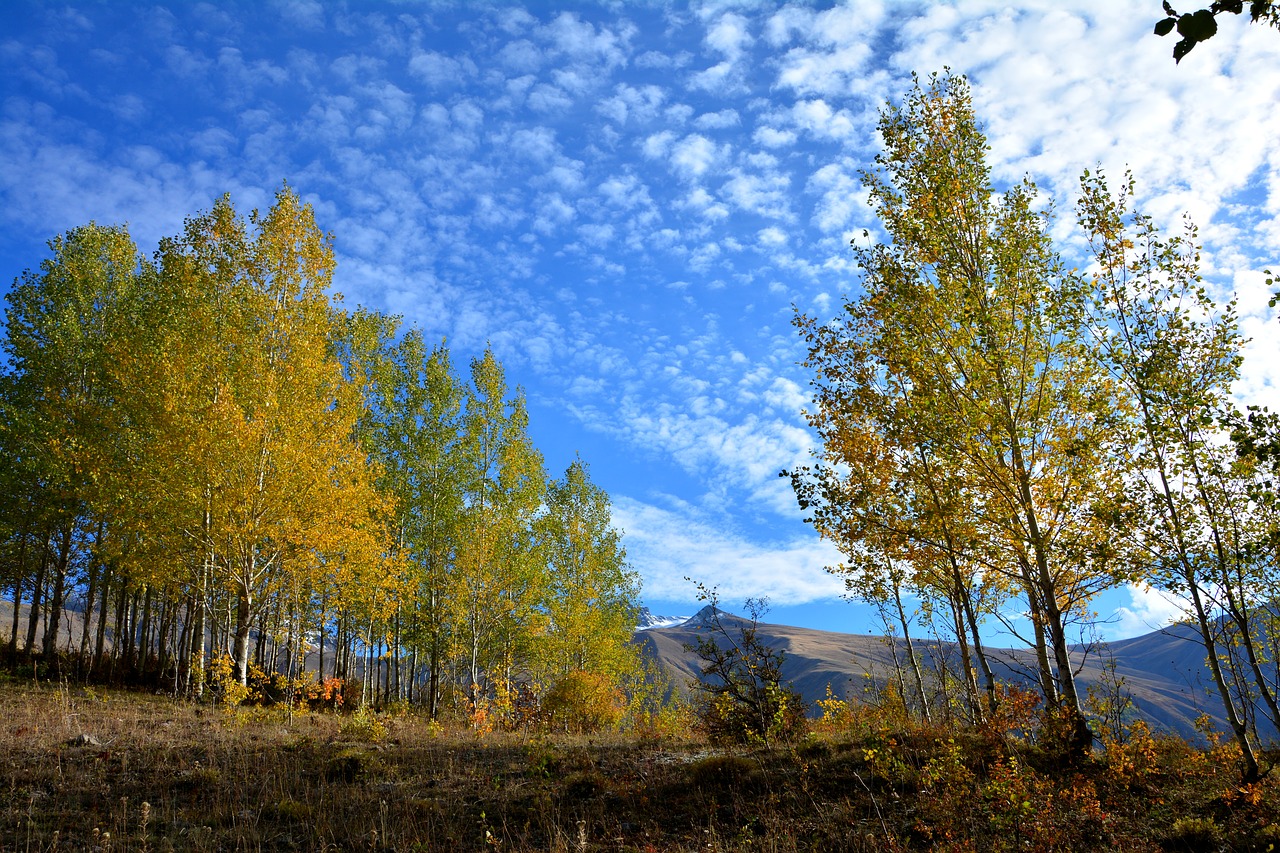 turkey nature landscape free photo