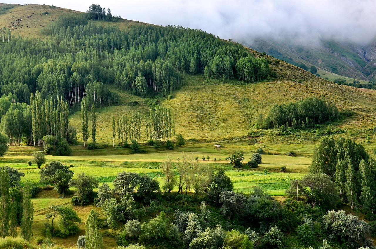 turkey nature landscape free photo