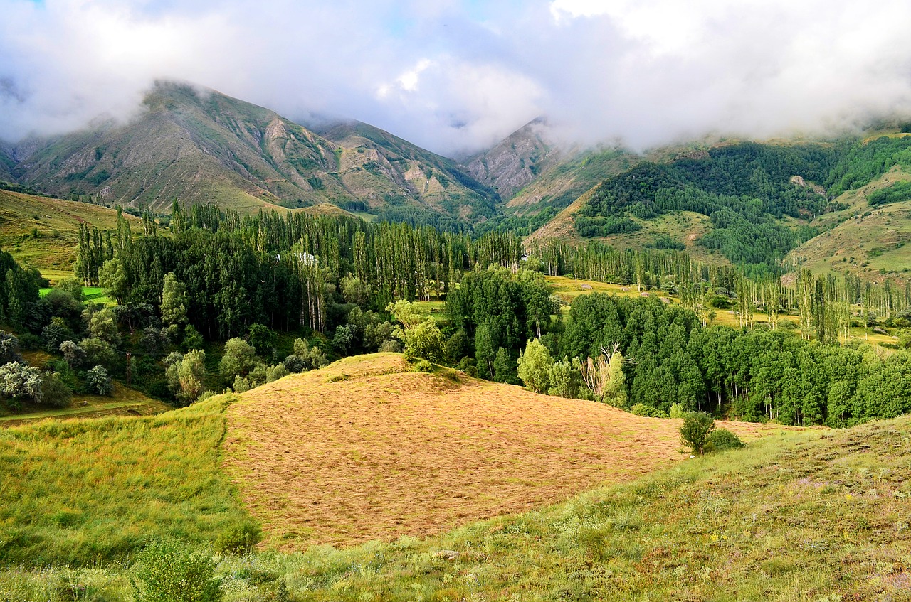 turkey nature landscape free photo