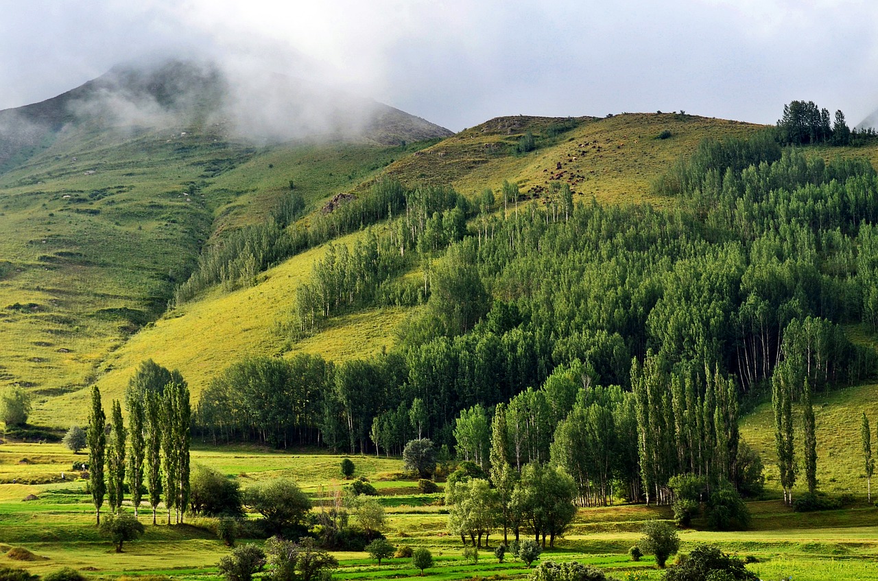 turkey nature landscape free photo