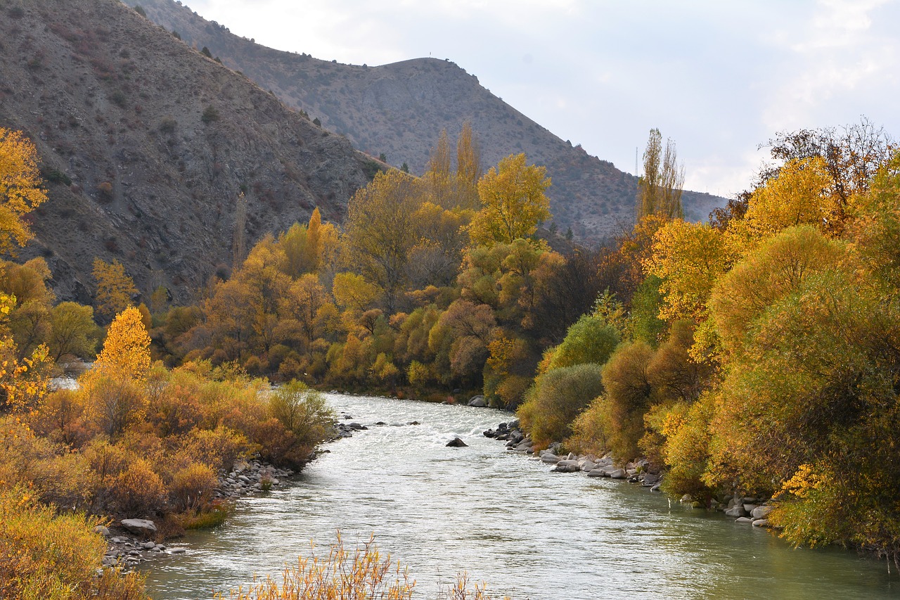 turkey coruh river river free photo