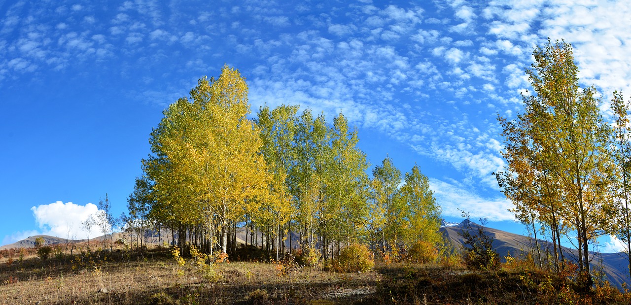 turkey autumn season free photo