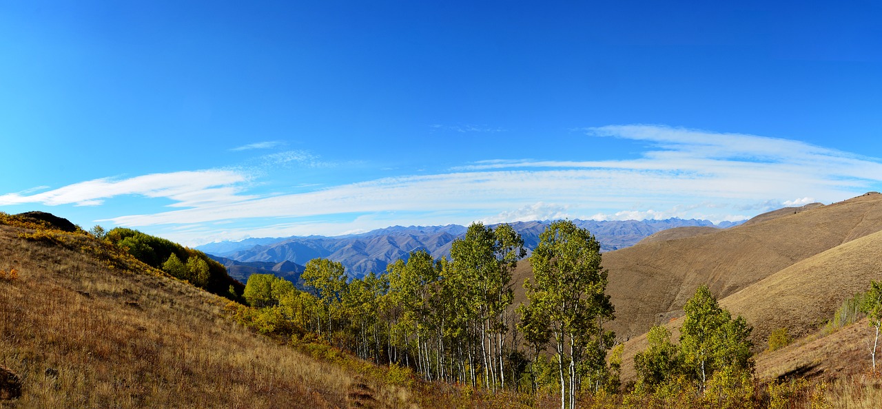 turkey autumn season free photo