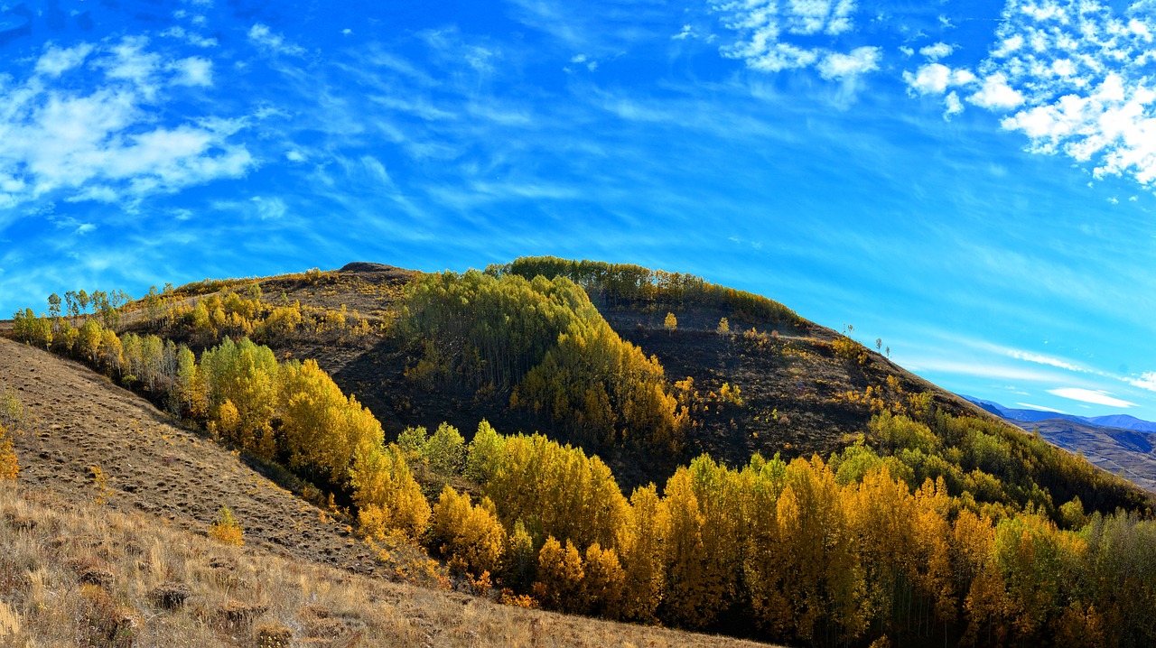 turkey autumn season free photo