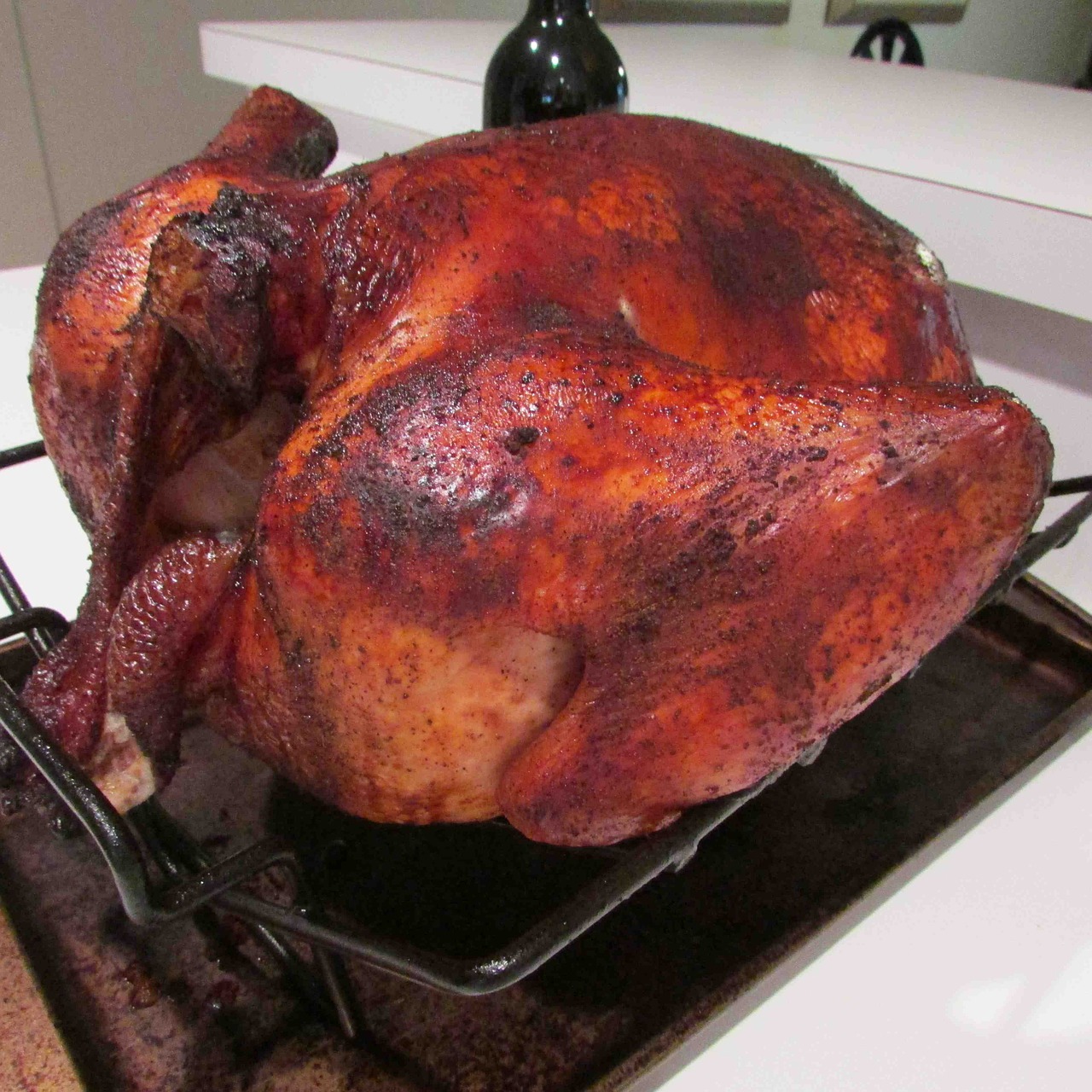 turkey roasted thanksgiving free photo