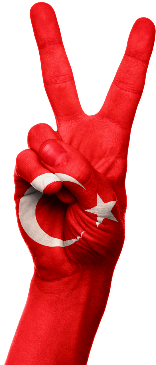 turkey flag hand free photo