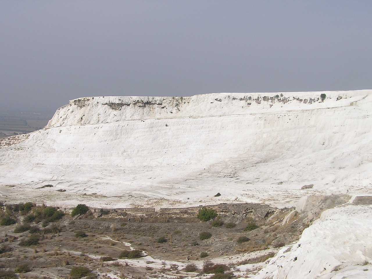 turkey lime snow free photo