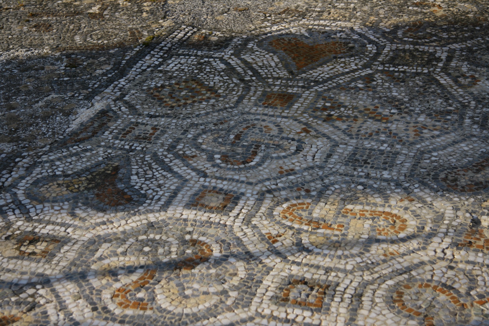 turkey ephesus ruins free photo