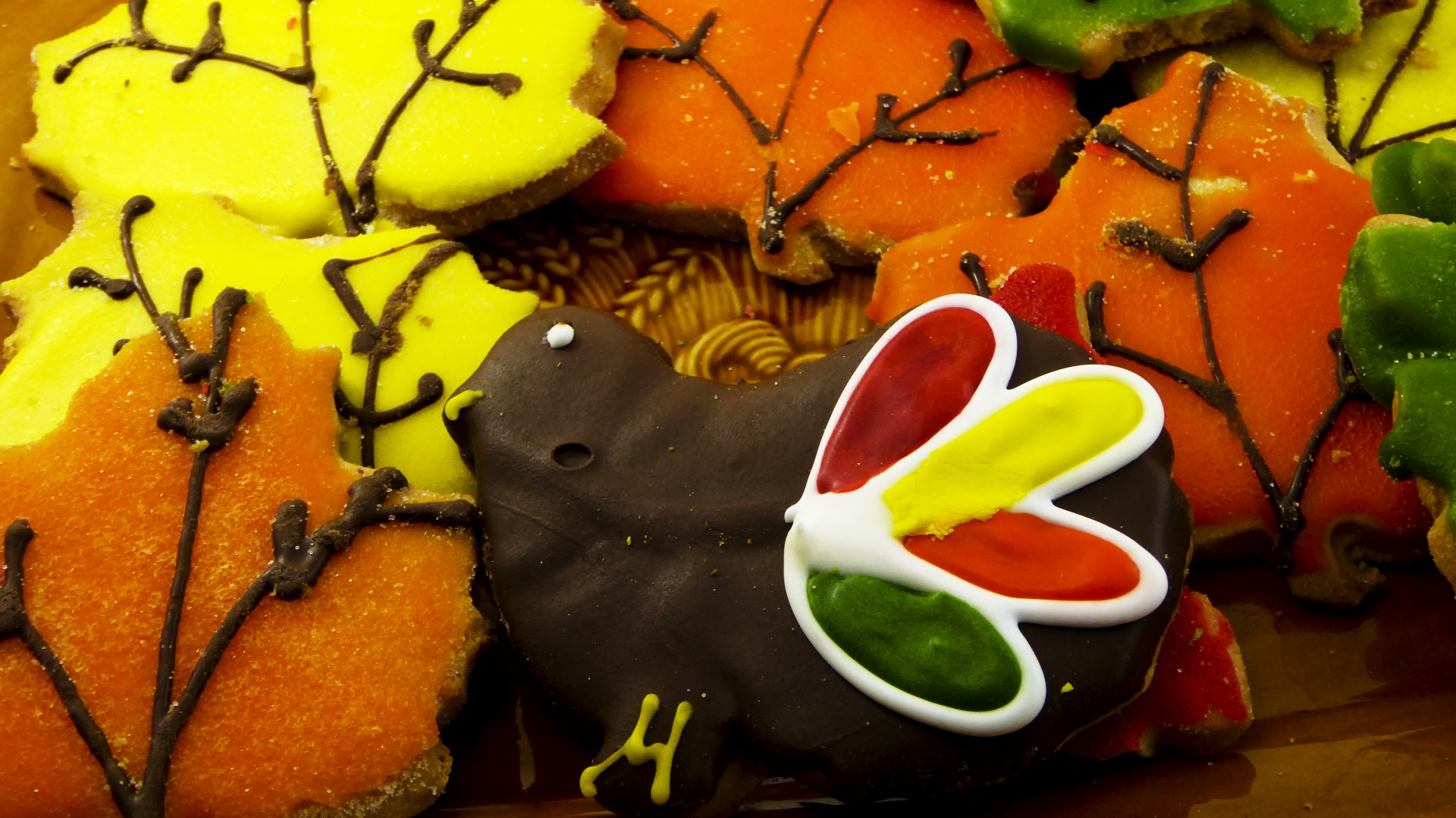 thanksgiving turkey sweets free photo