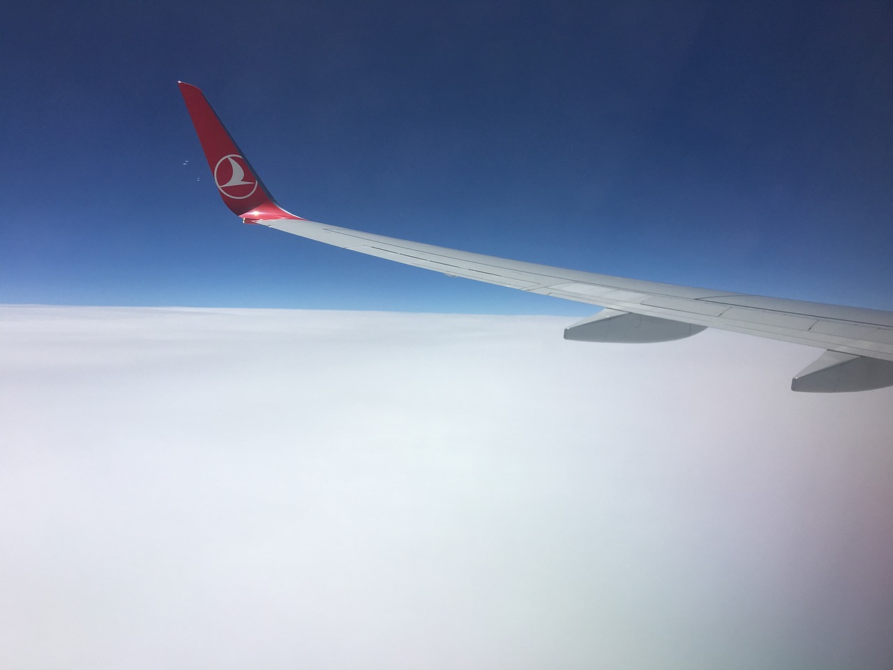 turkish airlines turkey turkish free photo