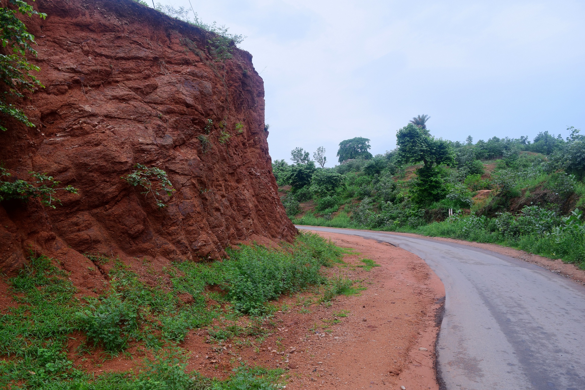 road ground path free photo