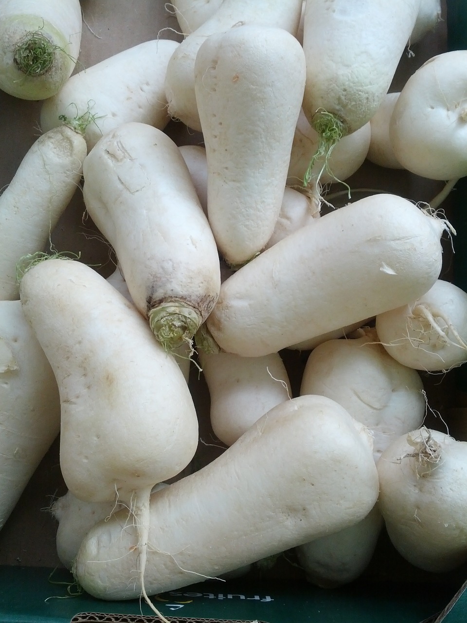 turnip vegetables white turnip free photo