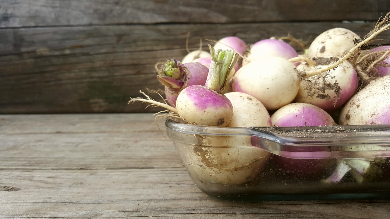 turnip wood vegetable free photo