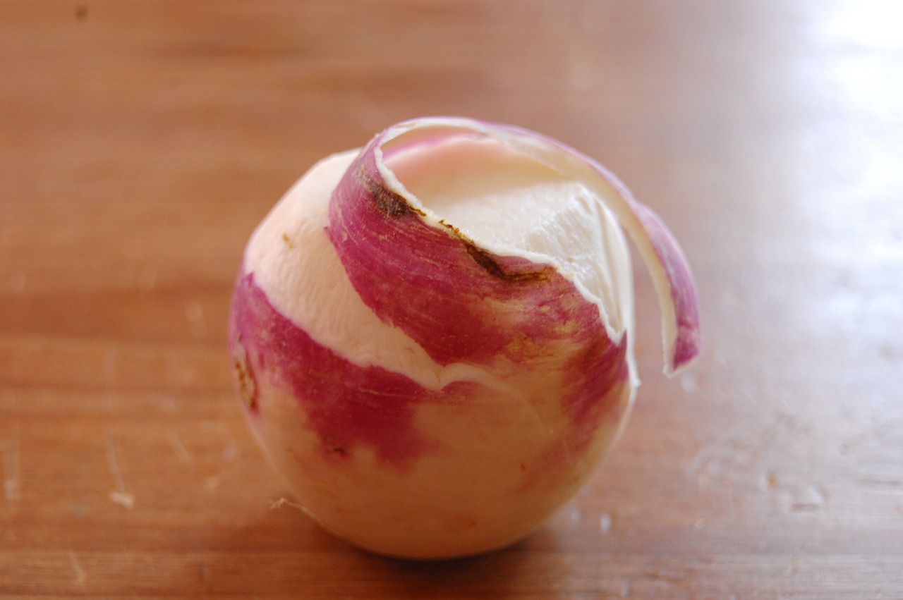 turnip  peeled  pink free photo