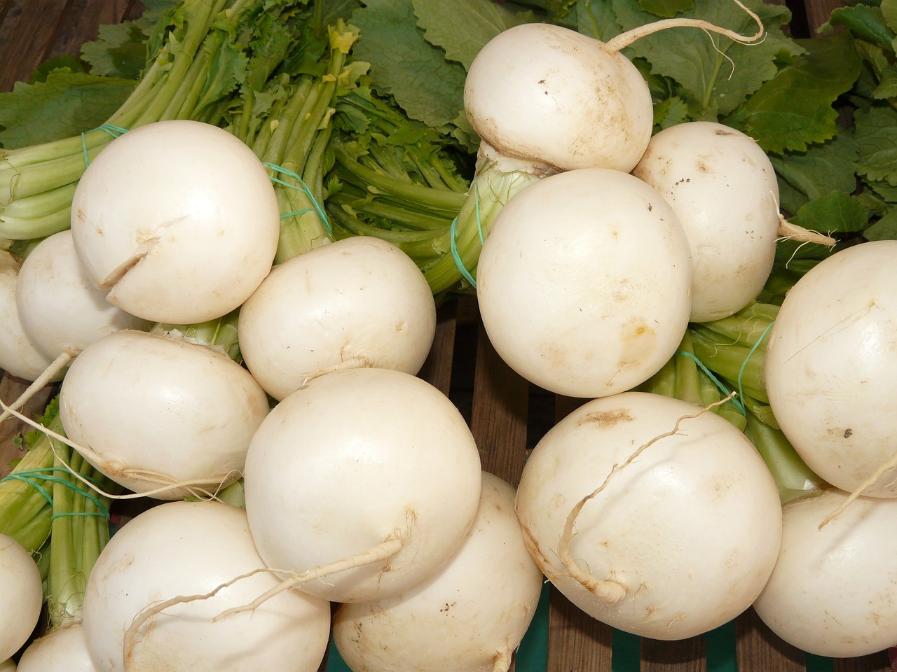 turnip nevett vegetable plant free photo