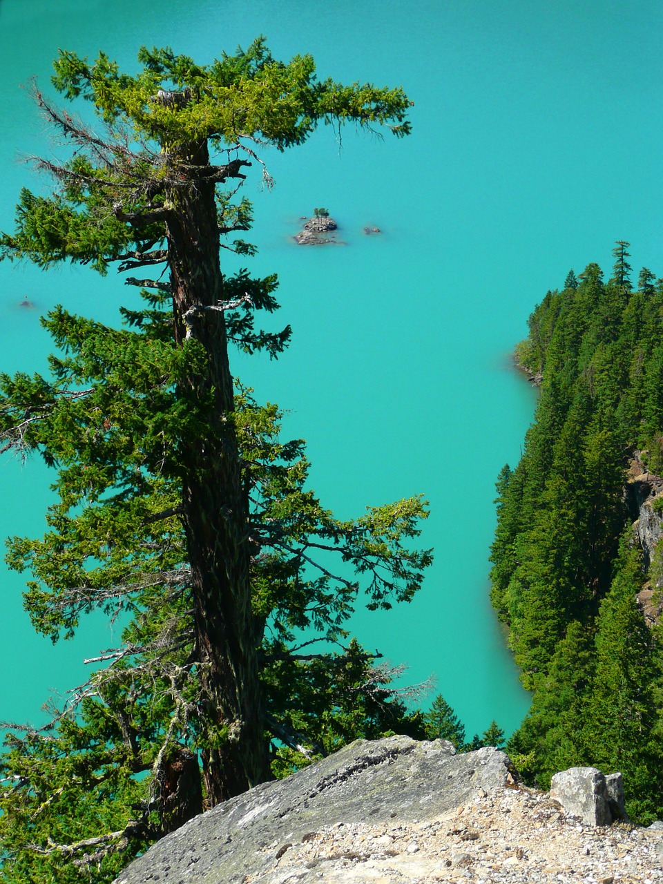 turquoise ross lake washington state free photo